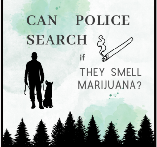 smell marijuana
